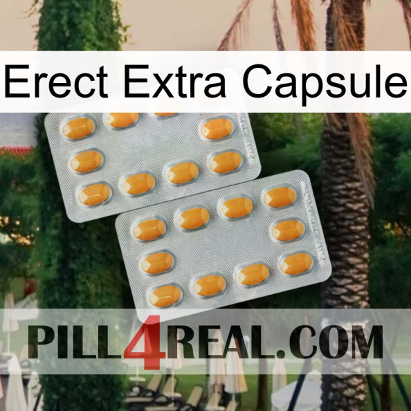 Erect Extra Capsule cialis4.jpg